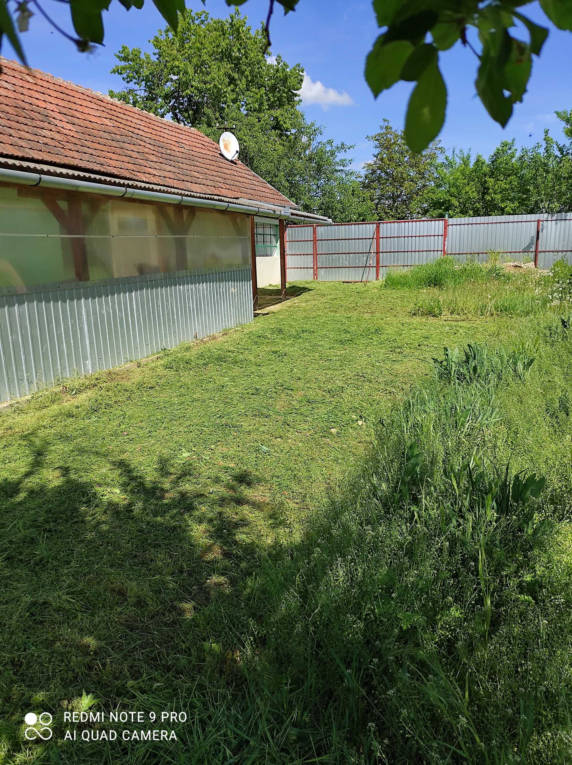 Fermă agricolă Jud Bihor 40282 mp