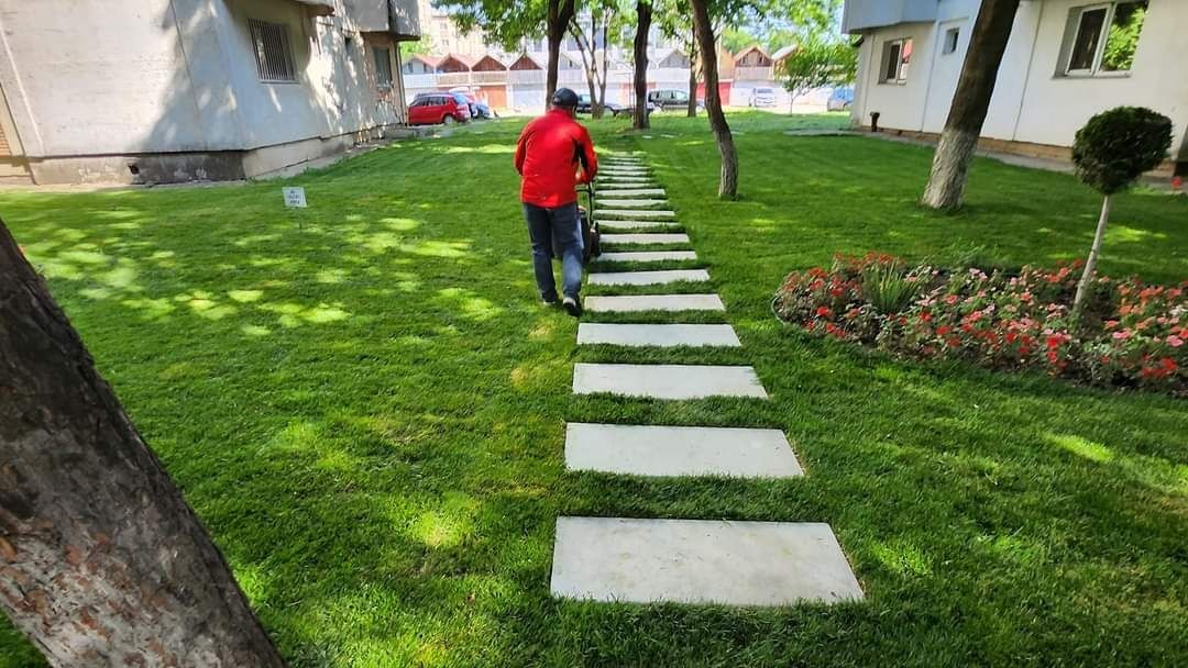 Pavaj,dale, pasi japonezi, placi beton armat