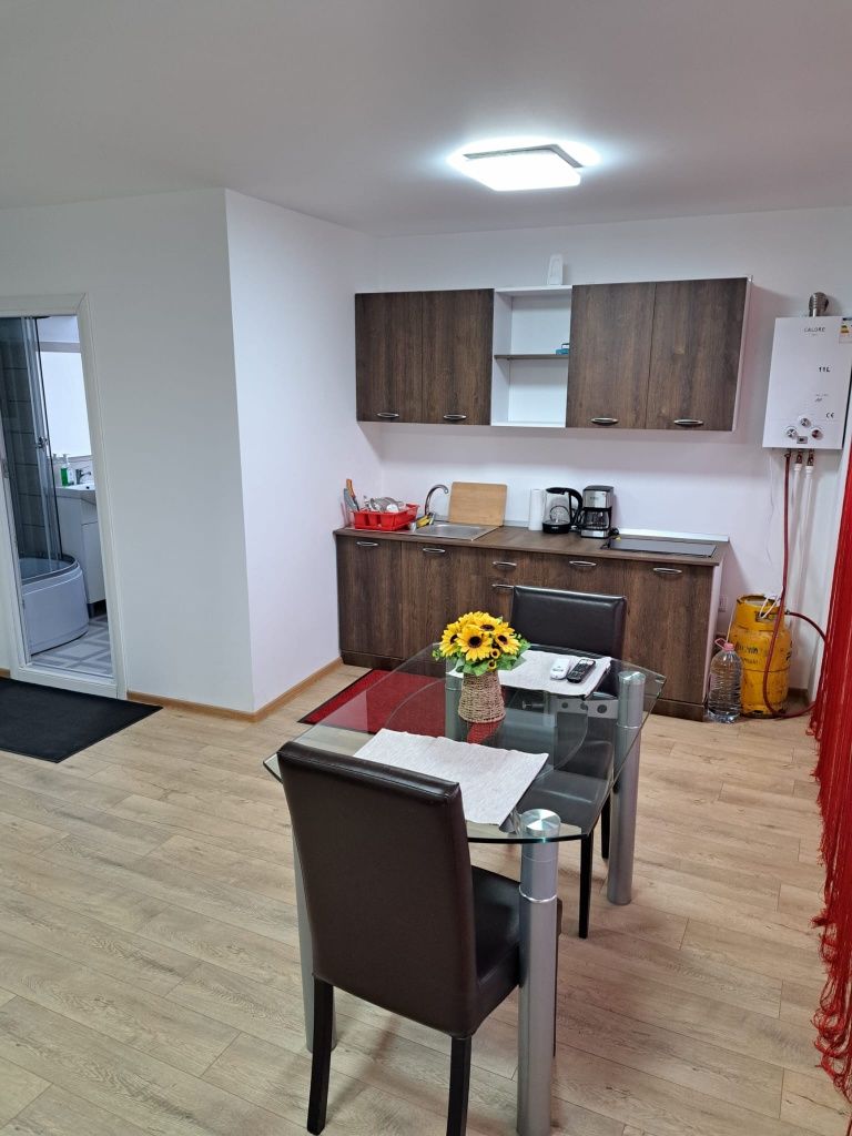 Apartament o cameră, în regim hotelier