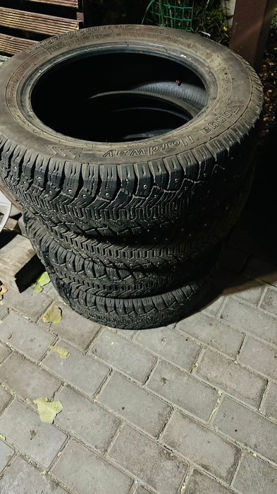 Зимняя резина tunga nordway