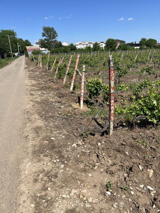 Teren constructie intravilan !