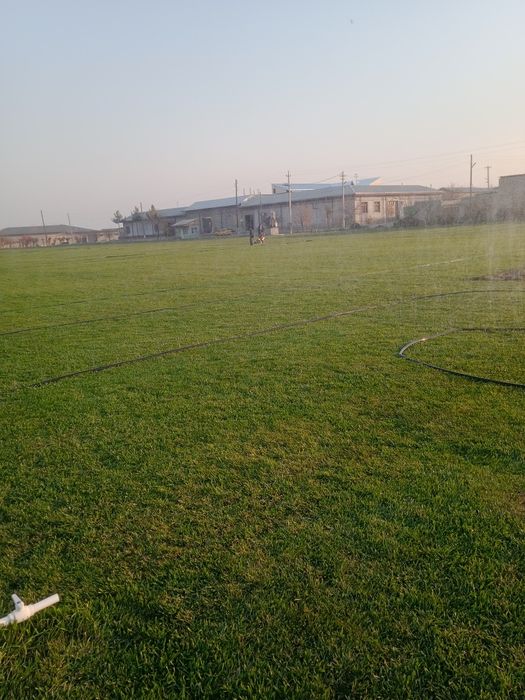 Gazon lanshaft dizayn bogbon sadovnik archa strijka xizmati