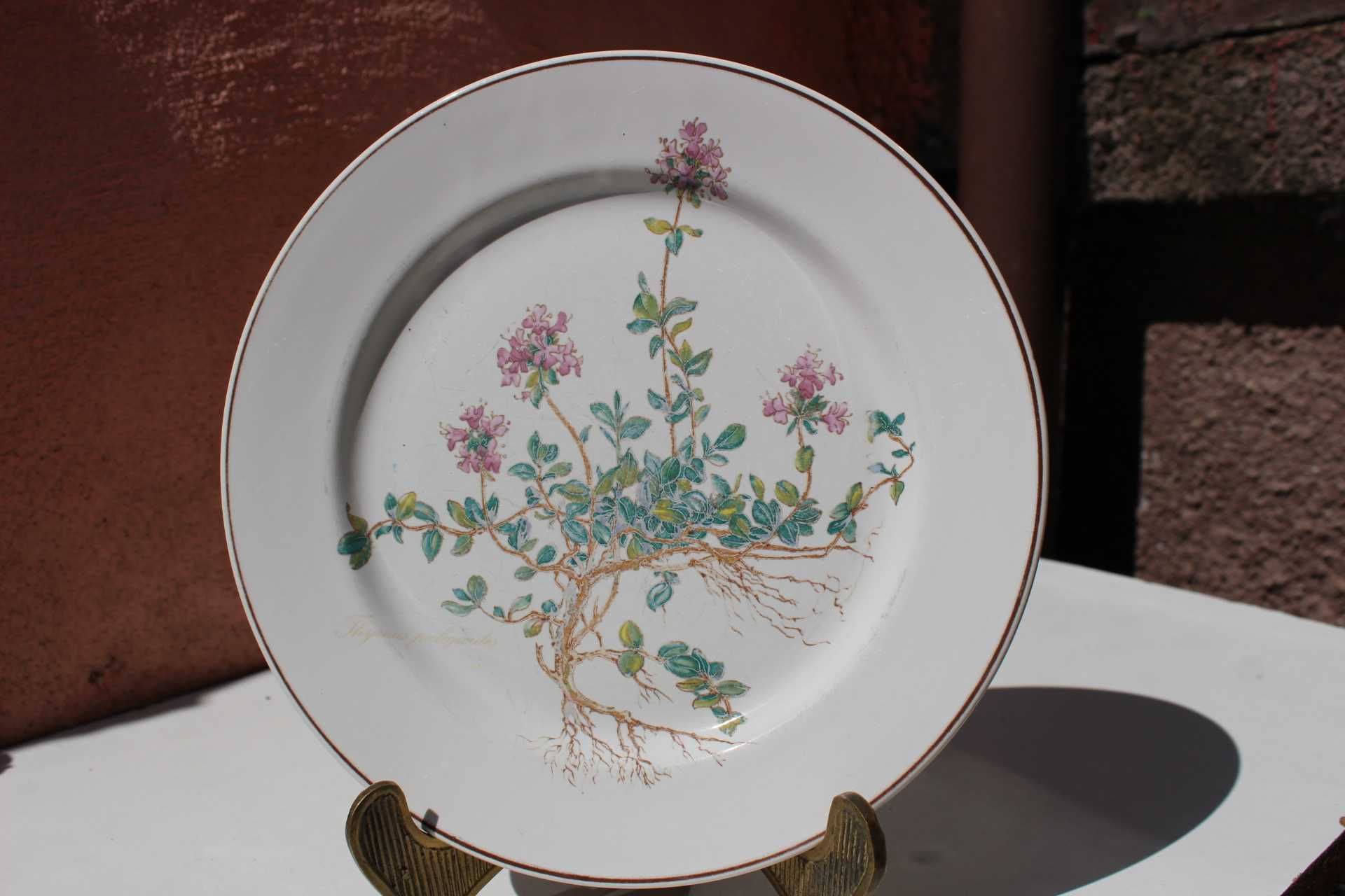 Set 8 farfurii portelan de colectie VILLEROY & BOCH, BOTANICA