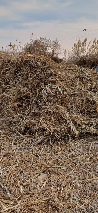 Станция Найман кол