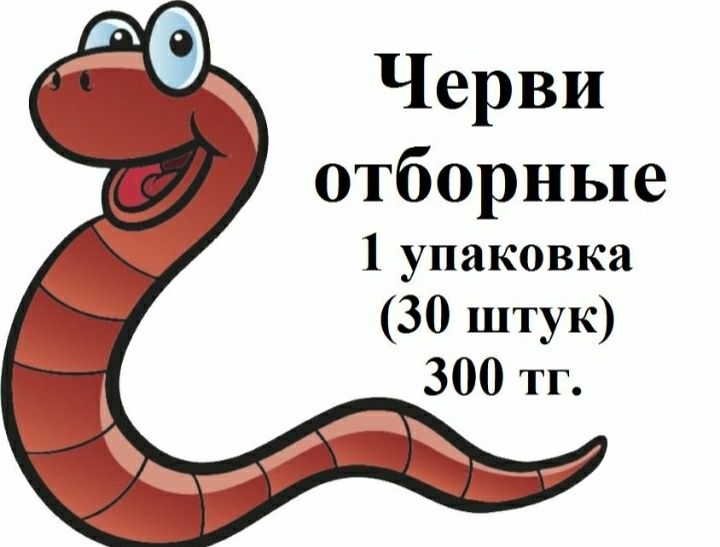 Черви для рыбалки