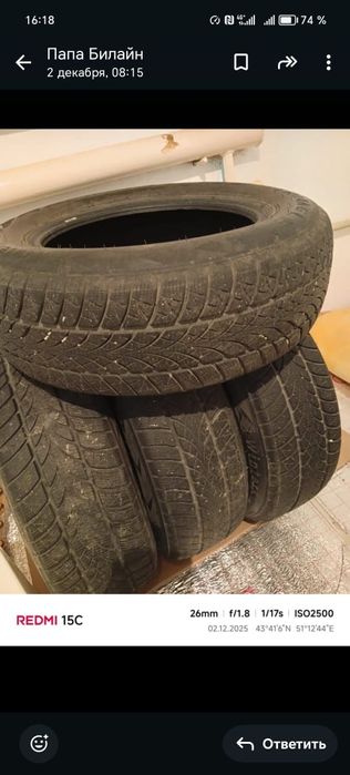 Тез арада кыскы донгалак сатылады