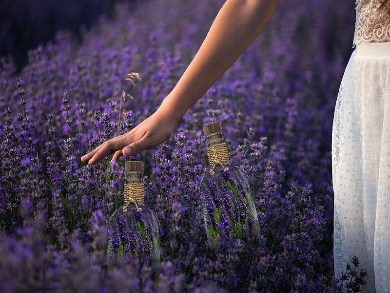 BIO ulei esențial de lavanda producția Bulgaria