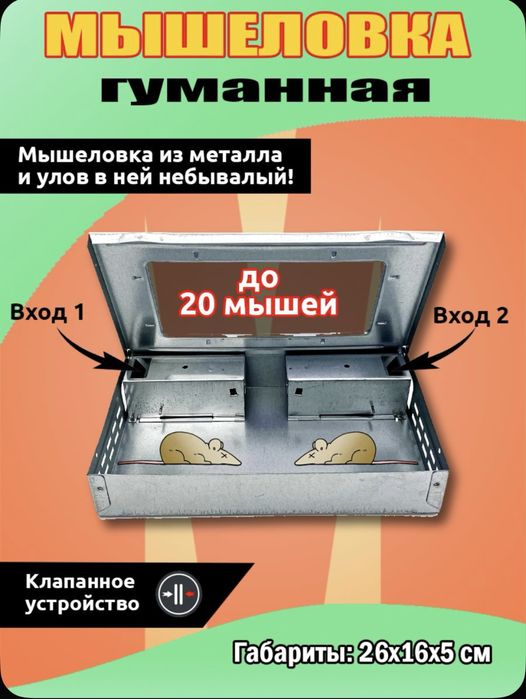 Гуманная мышеловка
