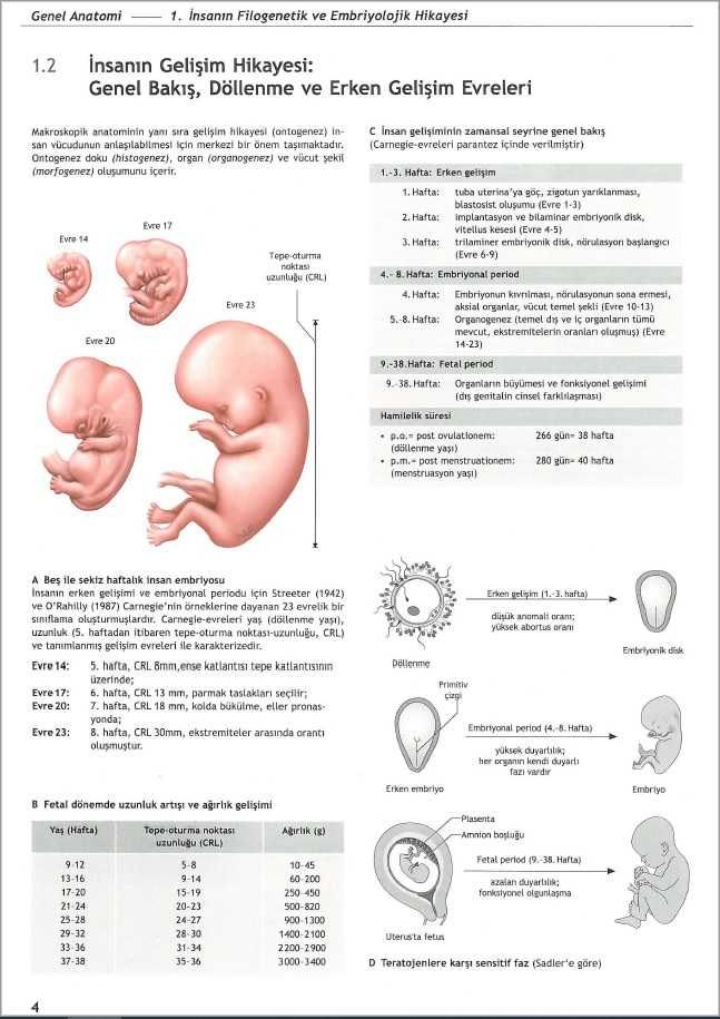 Атласи по анатомия, PROMETHEUS Anatomi Atlası, Cilt 1-3, турски език