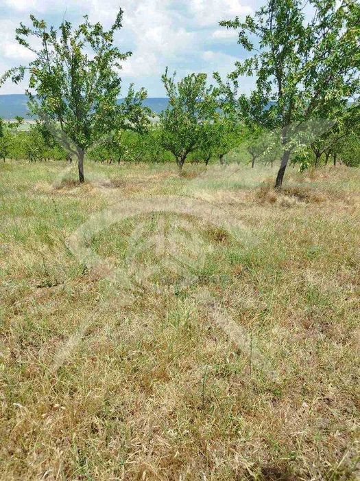 Парцел в село Страцин 73934