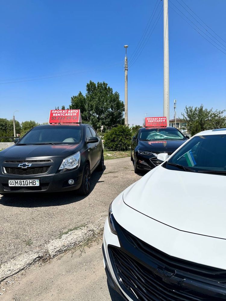 Rent car avto prokat kunlik ijara arenda suxoy