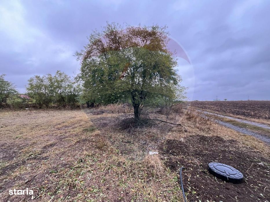 Teren intravilan 1700 mp de vanzare Polcesti  Strada Crangului