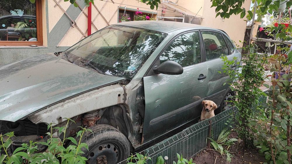 Combo vanzare 2 Seat Ibiza 2003-2004