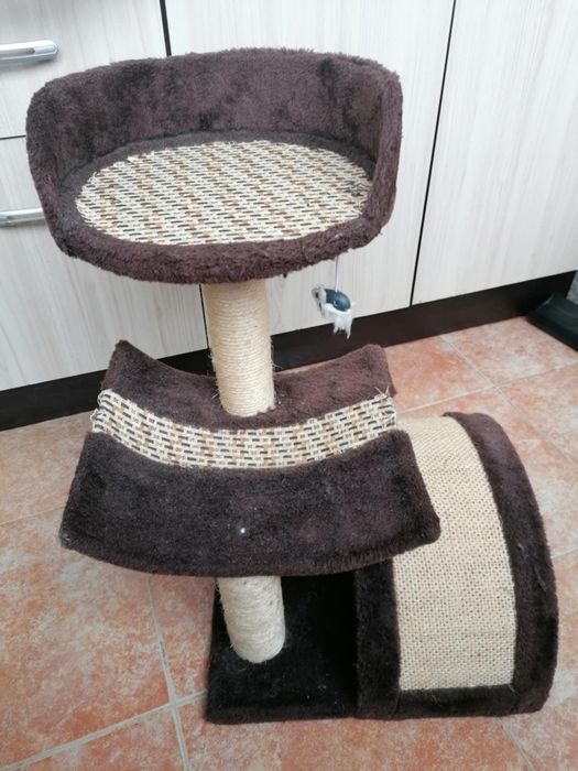 Котешка катерушка (драскалка)