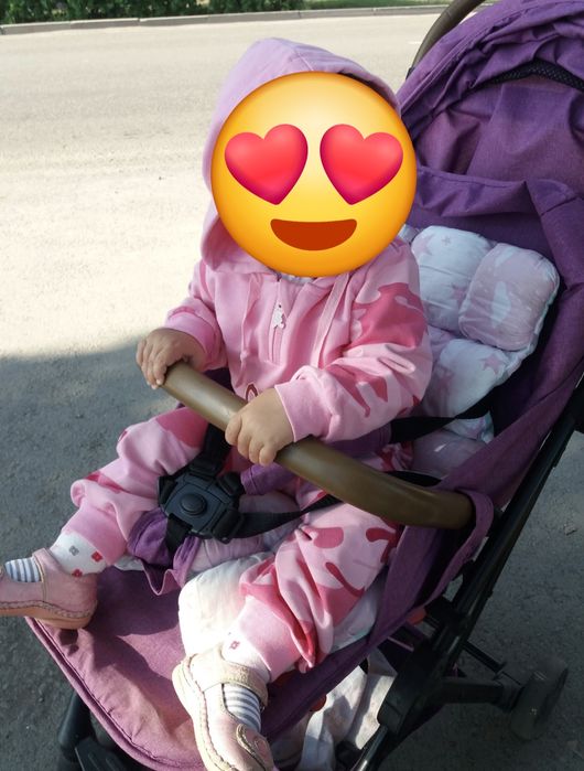 Коляска прогулочная ( и маскитная сетка)