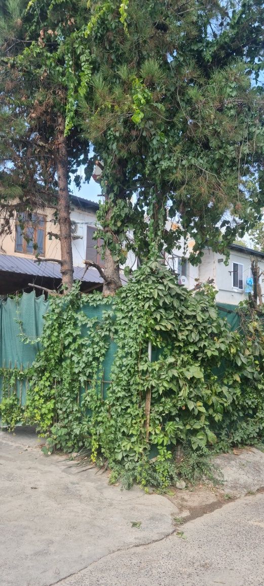 Продажа 4-х ком,Квартира,в джизаке.