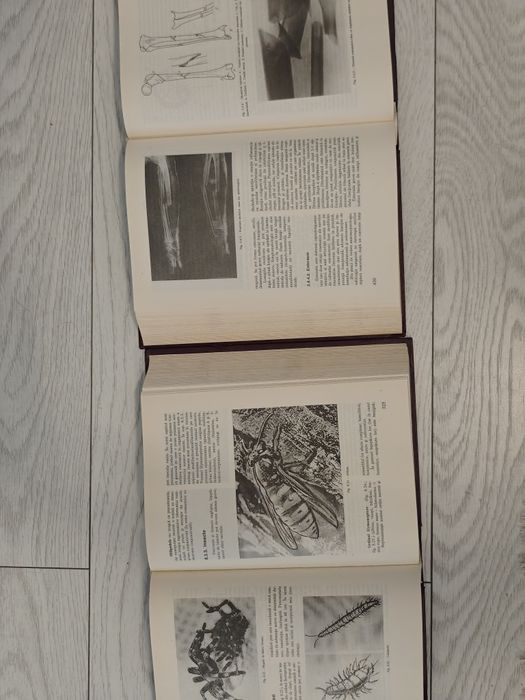 Set Vladimir Belis, Tratat de medicina legala,Complet, 2 vol, Cartonat