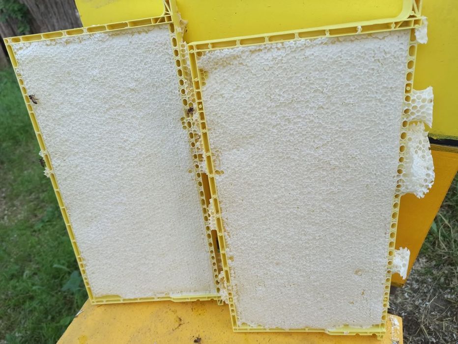 Primim comenzi pentru sezon 2026,