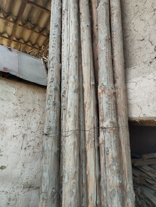 Срочно сосна тусин кругляк сотилади