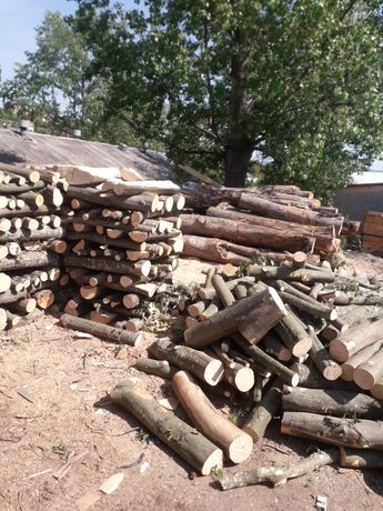 Vand lemne de foc esenta tare la metru ster.