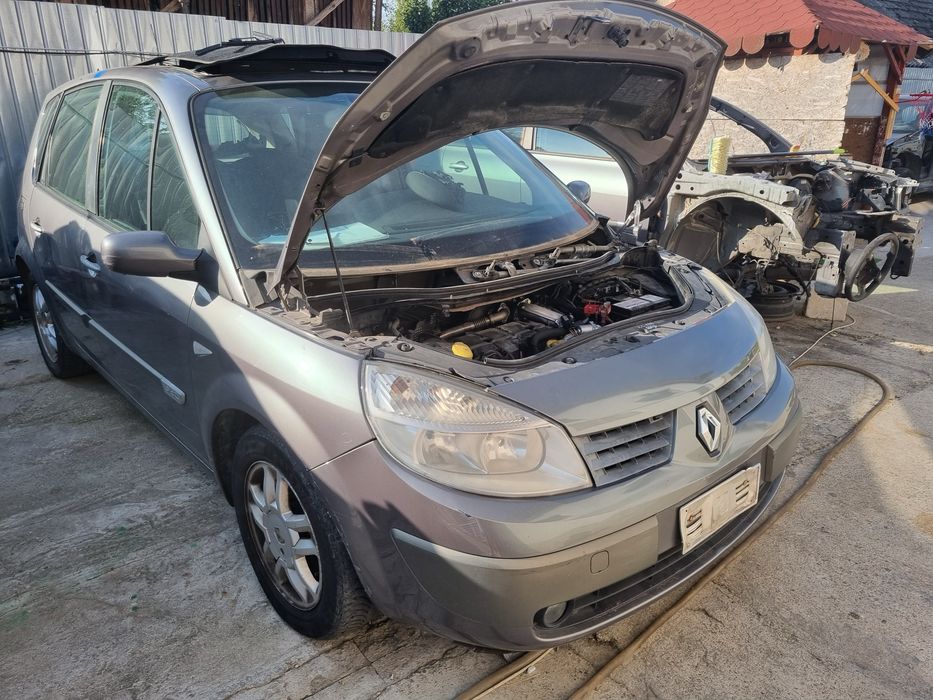 Ușă deapta față - spate renault scenic 2