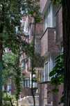 Apartament 3 camere mazepa 1