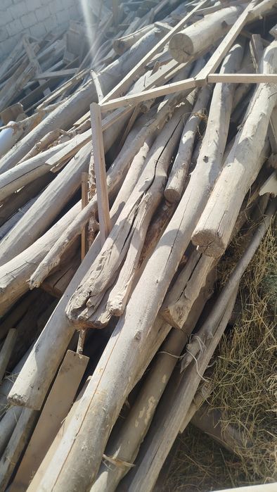 Tosinla sotiladi 5 metirgacha xarxil razmerda chornigayam bor