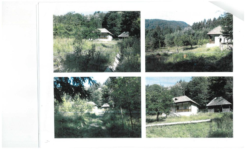 Teren / padure cu izvor apa termanala si izvor mineral