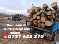 Lemn de foc fag 1600 lei-7 m ster