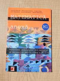 Culegere probleme rezolvate matematica cls XII Marcus Paralela 45 2003