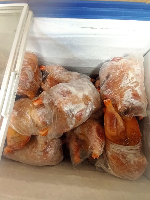 Куры домашние продам