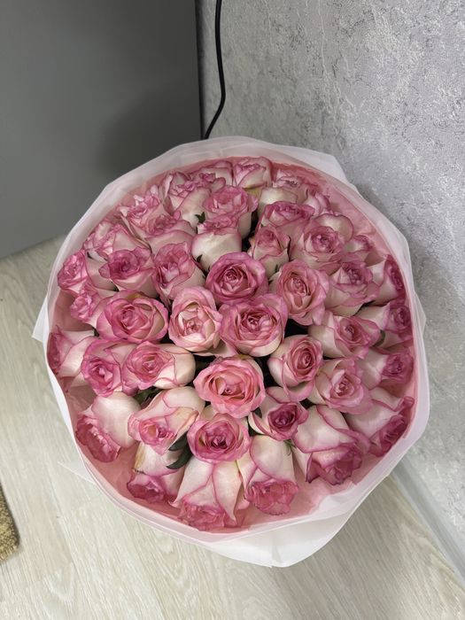 51 штук голландские розы