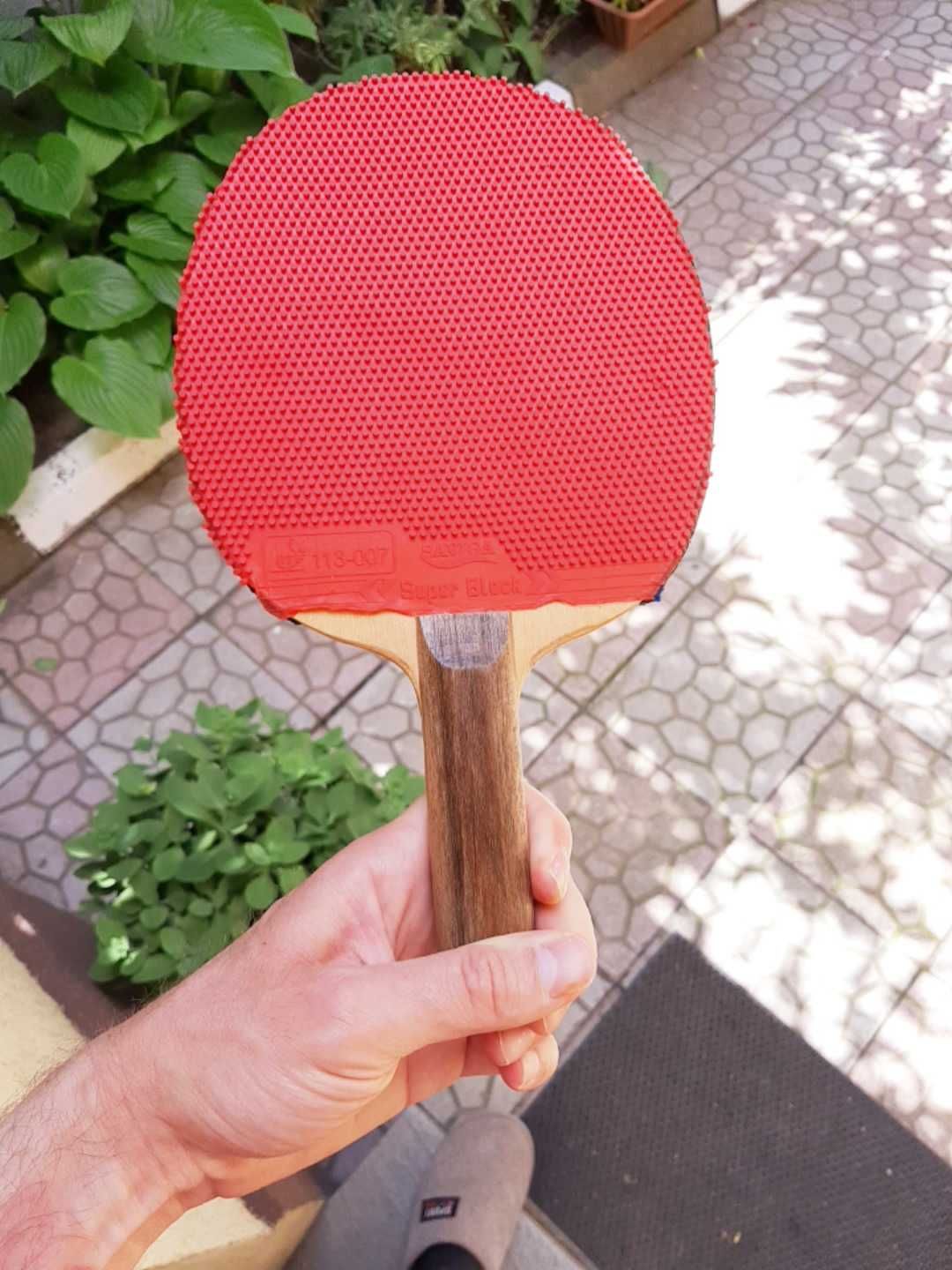 Paleta tenis de masa aparator modern
