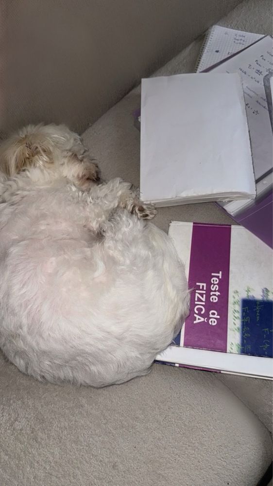 Meditatii Matematica si Fizica