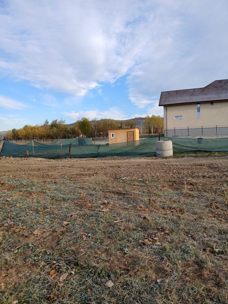 Teren de vânzare Viforata 730 m²