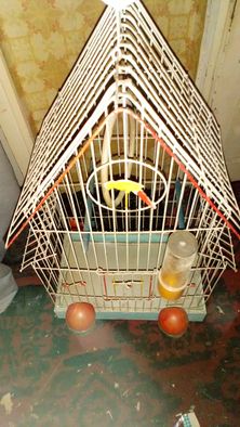 Клетка за Папагали,канарчета-всички принадлежности,дръжка за пренасяне
