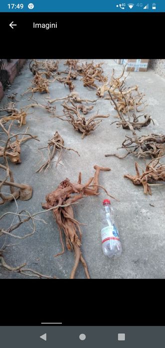 Lemne red moor acvariu(decor)