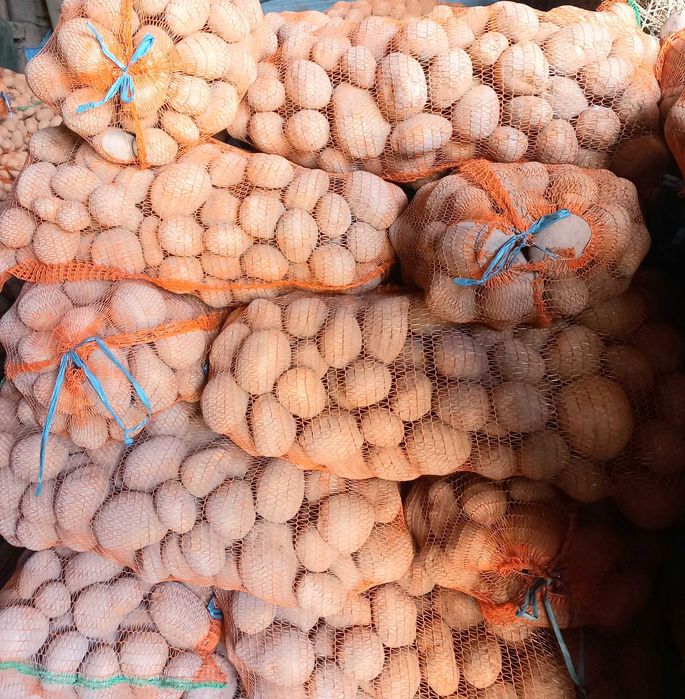 Cartofi paradiso 55+