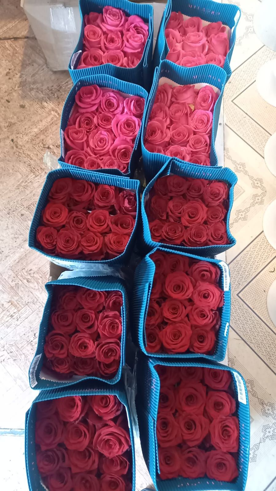 Продажа  цветов  розы  хризантемы лилии герберы орхидеи альстромерии