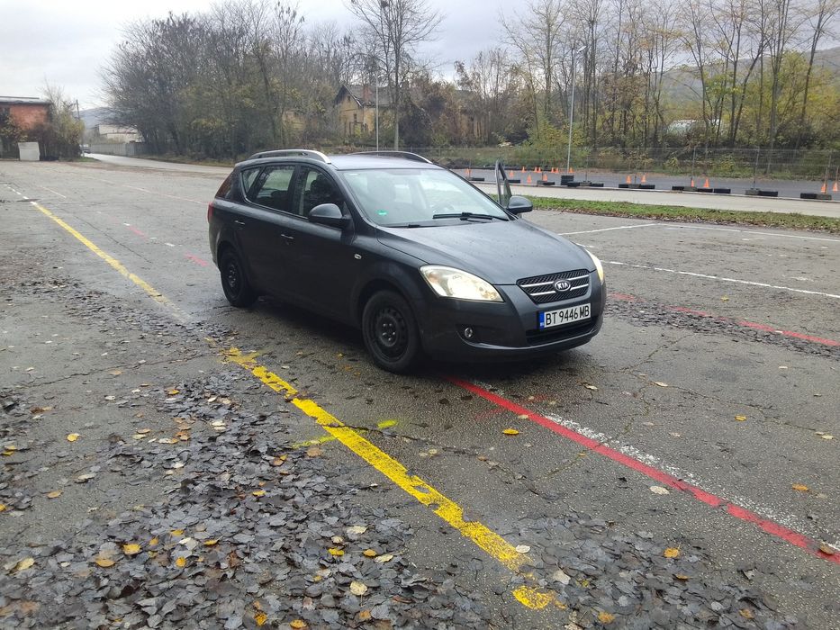 Коя сеед - бензин