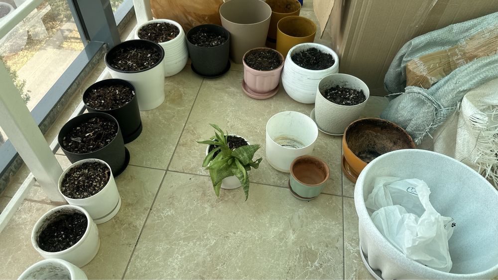 Горшки для домашних растений