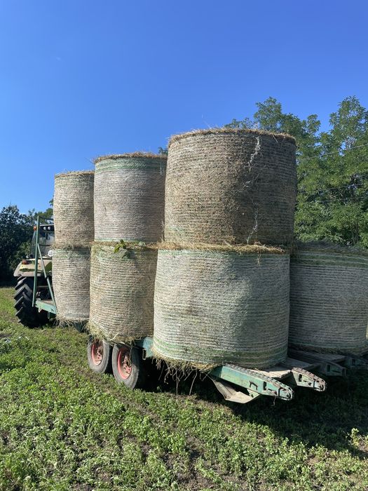 Balotți de fân,sparcetă,ovaz cu lucernă