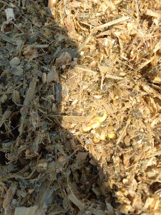 Selos bor donli ,qopli ,raspnoy