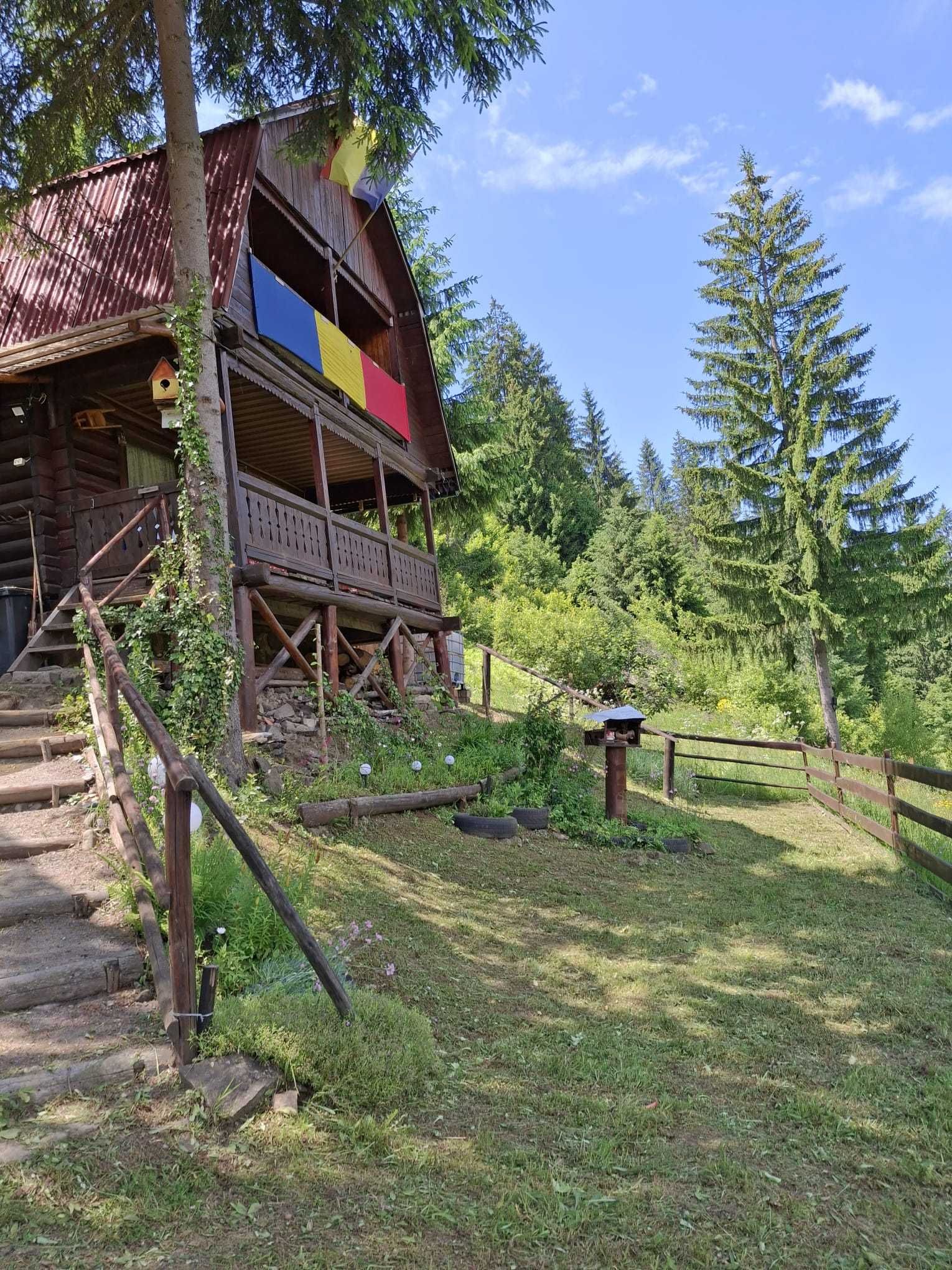 Cabana sat Mestera, comuna Stanceni