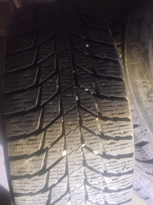 Шины   Продается .трианжел буу