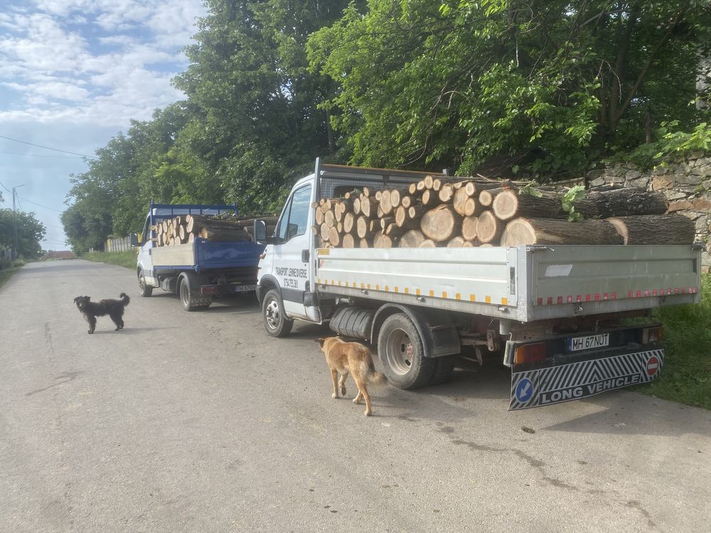 Vând lemne de fag sau stejar in județul Mehedinți !