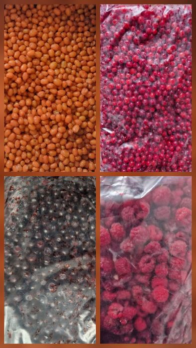 Замороженная ягода, Облепиха, Брусника, Черника, Малина