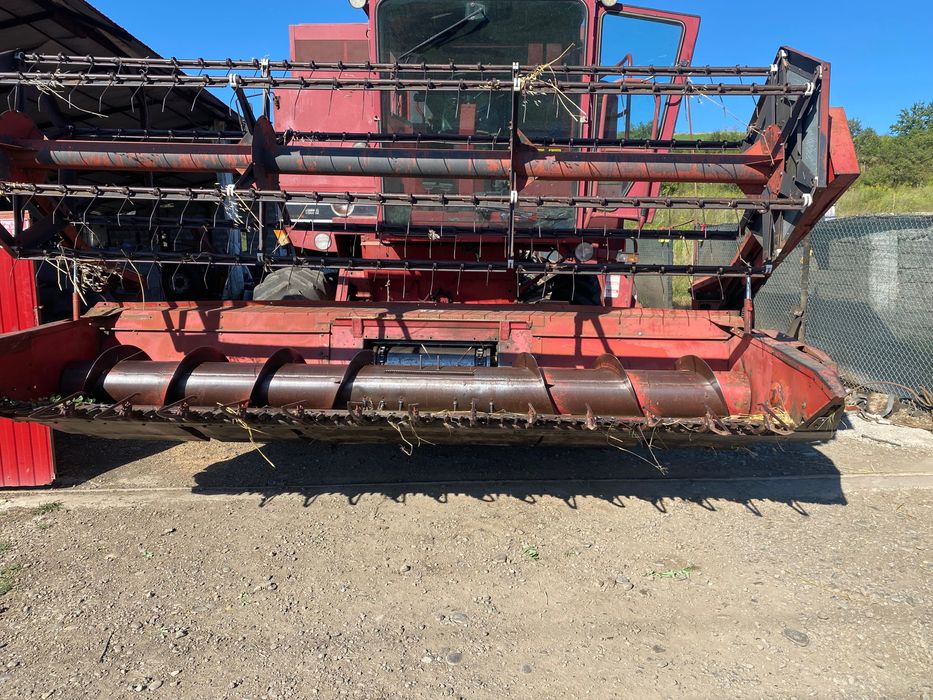 Vând mânză semigrea