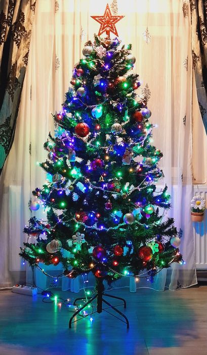 Vand brad de Crăciun