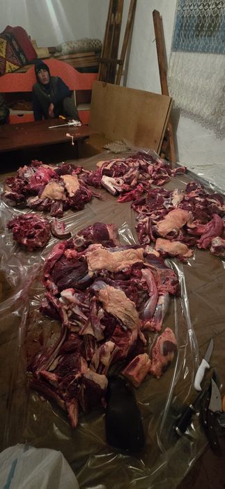 Байтал жылкы еті-Мясо конина